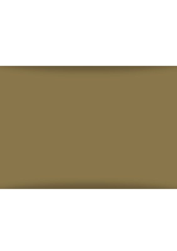 Samiden.com